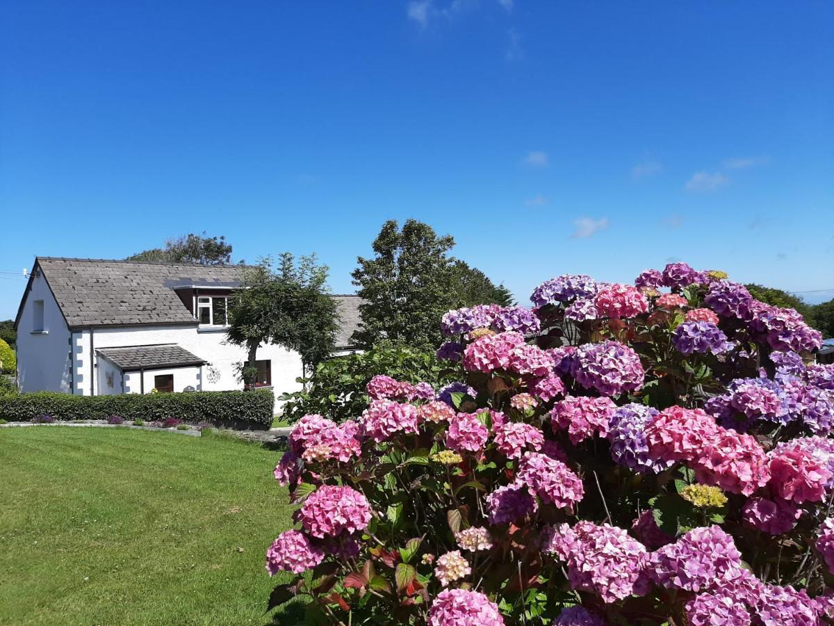 Trenewydd Farm Holiday Cottages Cardigan Buitenkant foto