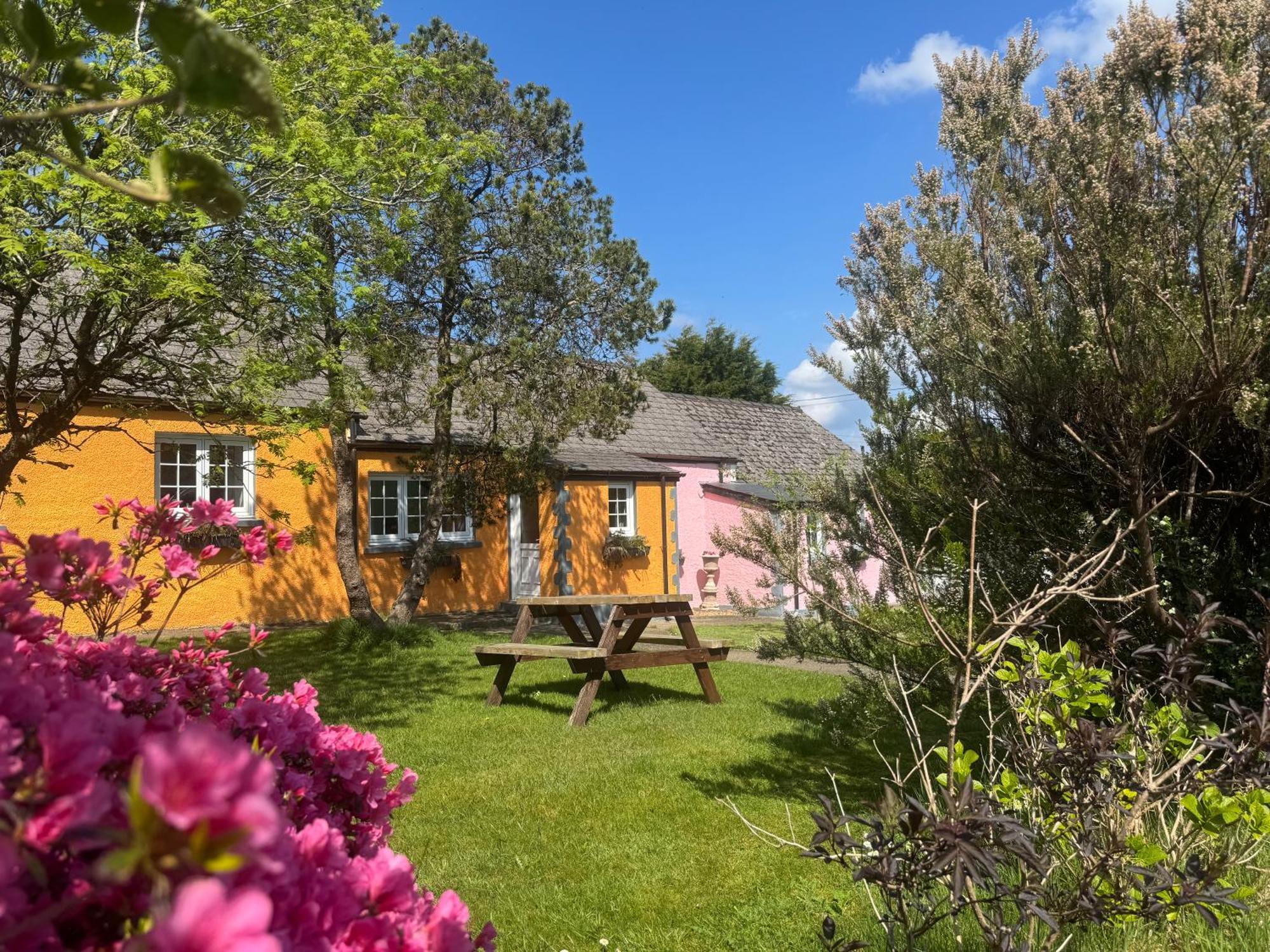 Trenewydd Farm Holiday Cottages Cardigan Buitenkant foto